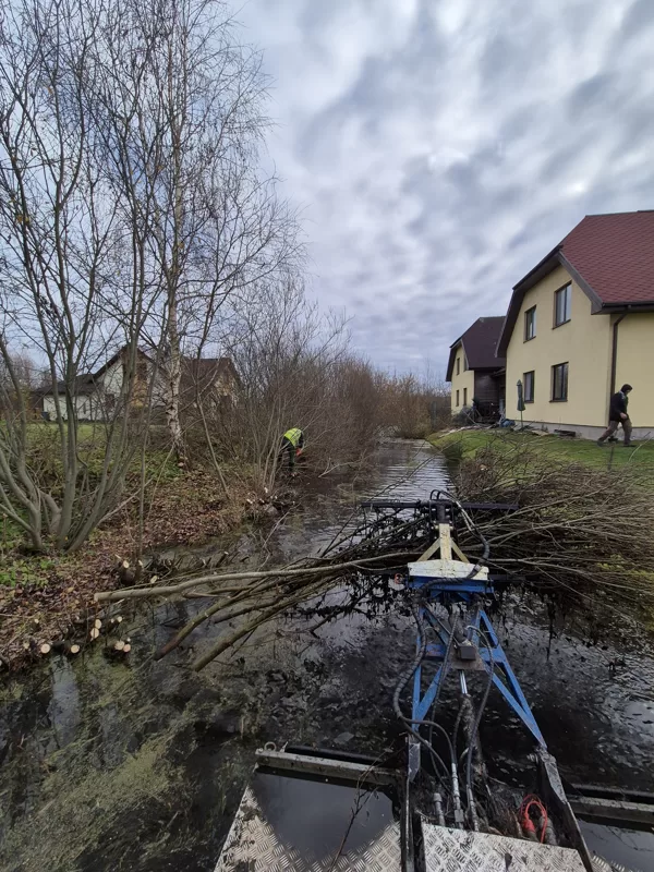 Krūmu zāģēsana
